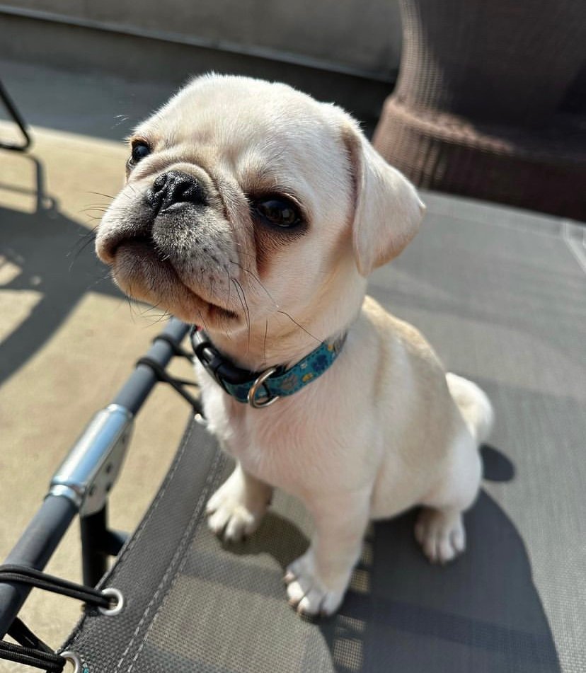image0 (18)